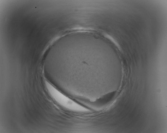 X0000081311357200702082059