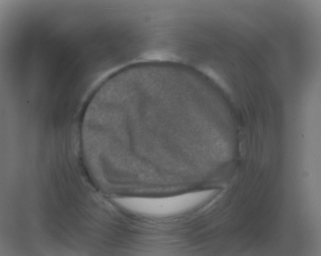 X0000081311358200702082059