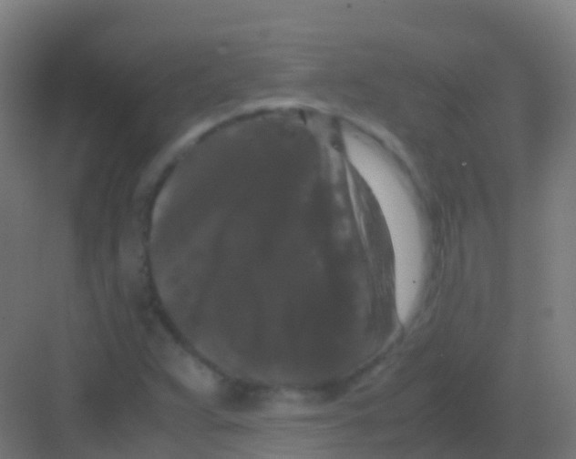 X0000081311359200702082059