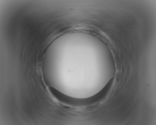 X0000081311361200702082059