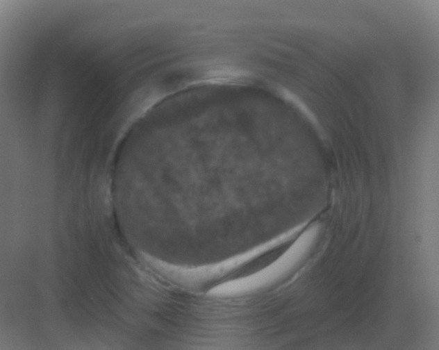 X0000081311362200702082059