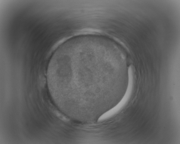 X0000081311363200702082059