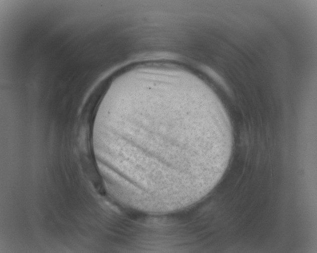 X0000081311364200702082059