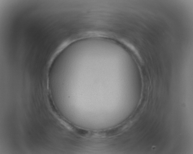 X0000081311365200702082059