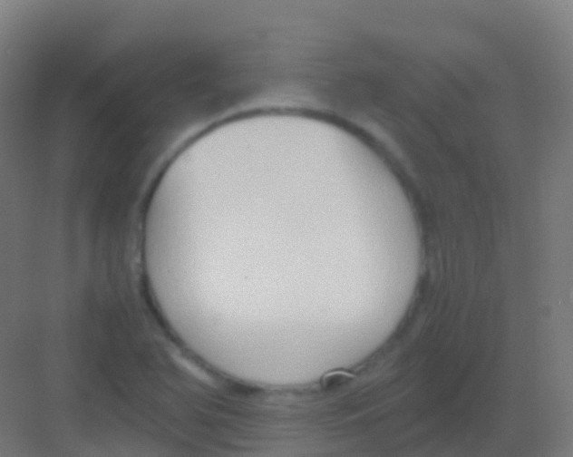 X0000081311366200702082059