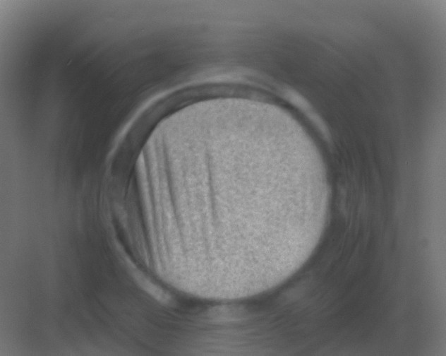 X0000081311368200702082059