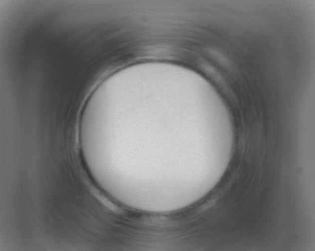 X0000081311370200702082059