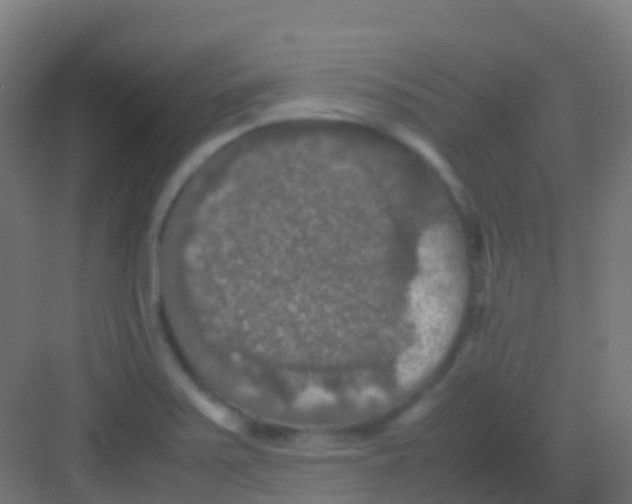 X0000081311371200702082059