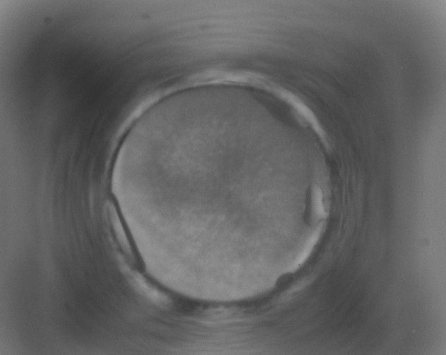 X0000081311373200702082059