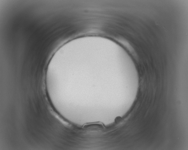 X0000081311374200702082059