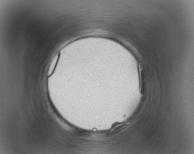 X0000081311375200702082059