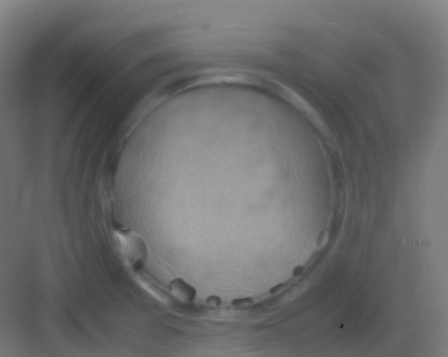 X0000081311377200702082059