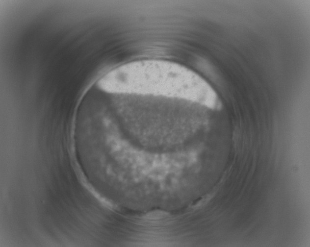 X0000081311378200702082059