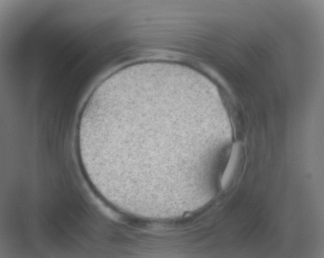 X0000081311379200702082059