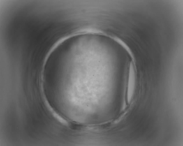 X0000081311381200702082059