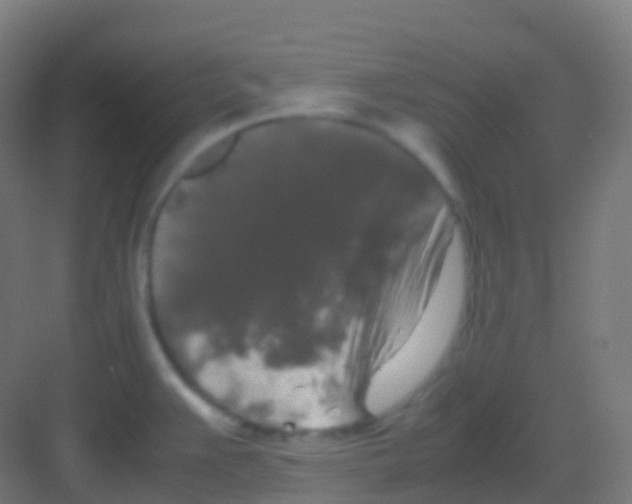 X0000081311383200702082059