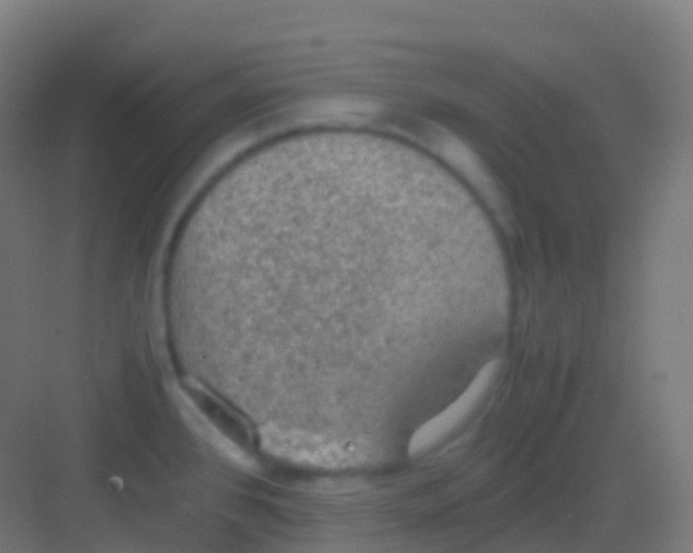 X0000081311384200702082059