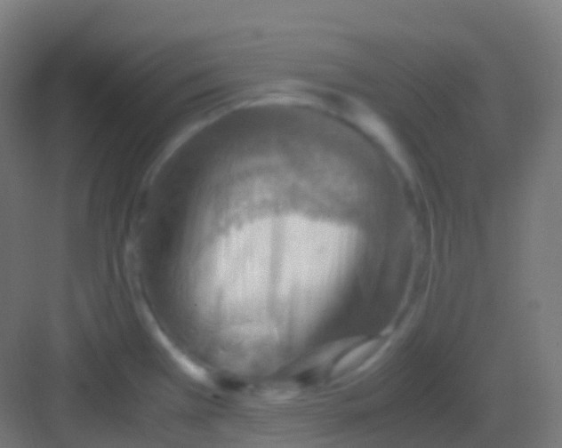 X0000081311385200702082059