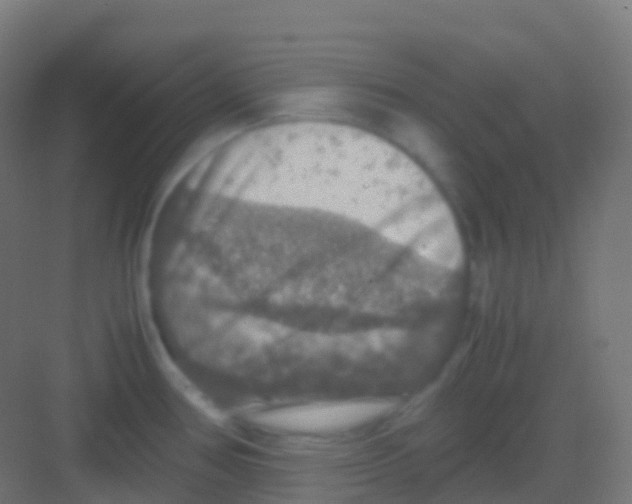 X0000081311386200702082059