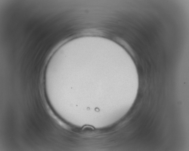 X0000081311387200702082059