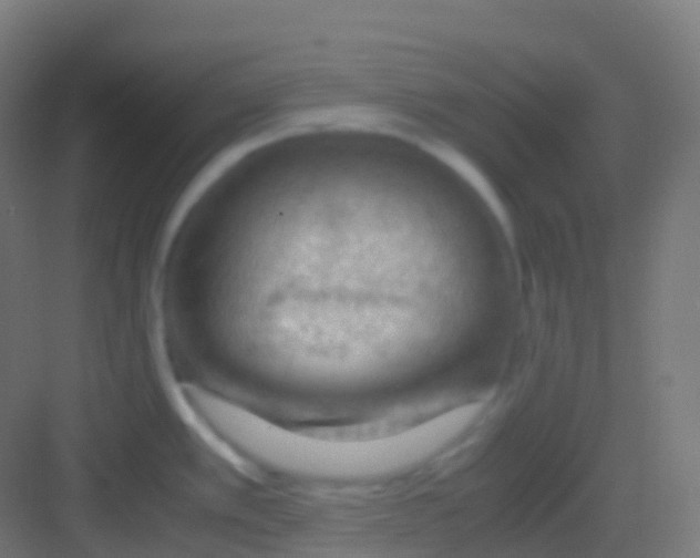 X0000081311389200702082059