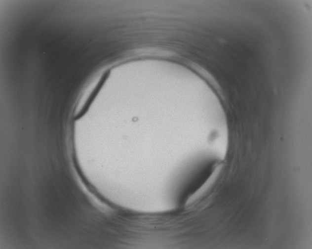 X0000081311391200702082059