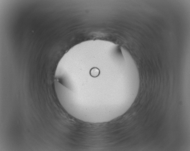 X0000081311393200702082058