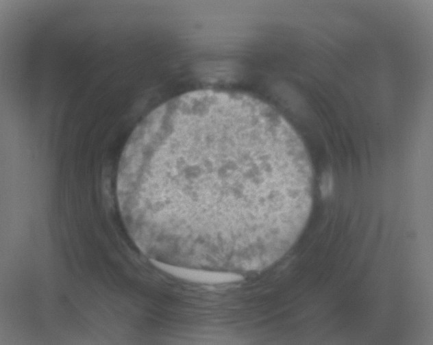 X0000081311396200702082058