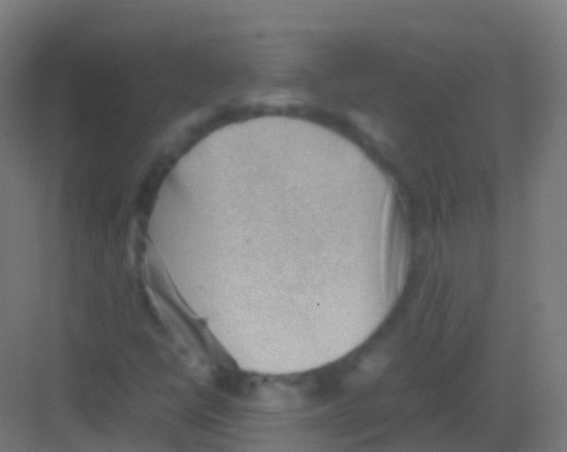 X0000081311398200702082058