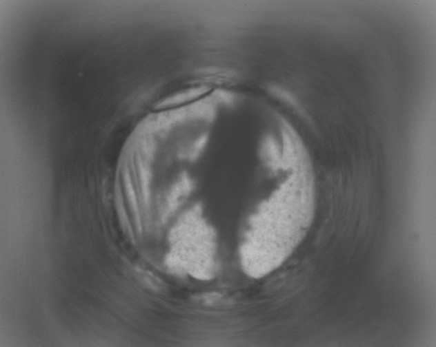 X0000081311399200702082058