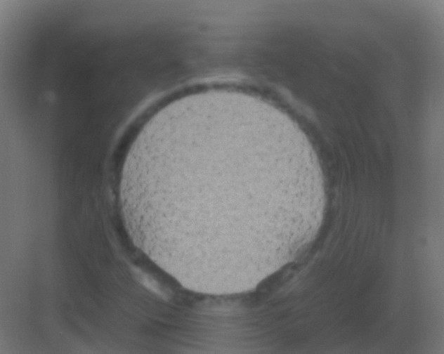 X0000081311400200702082058