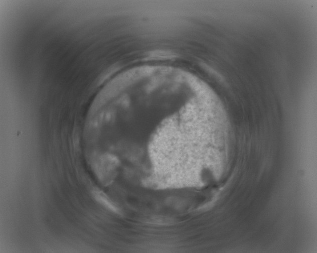 X0000081311401200702082058