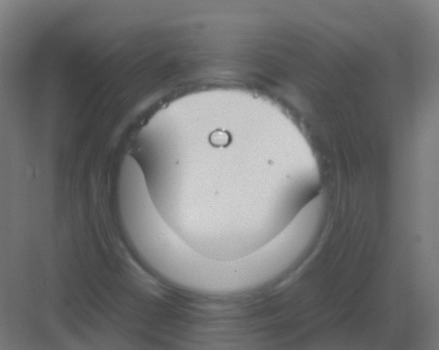 X0000081311402200702082058