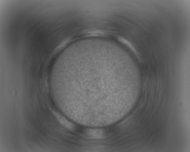 X0000081311403200702082058