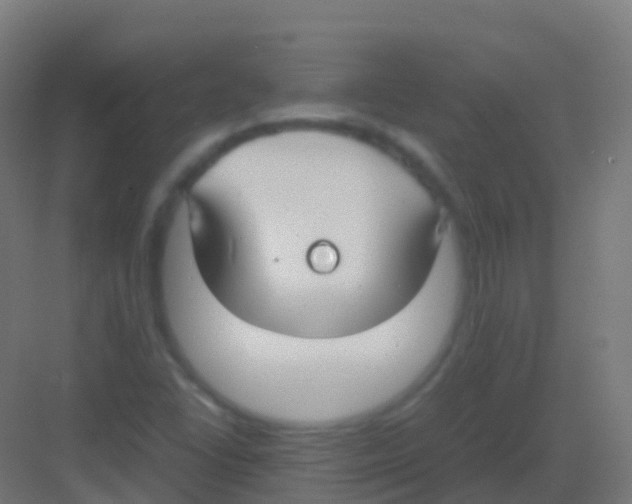 X0000081311406200702082058