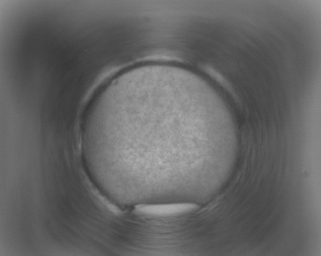 X0000081311408200702082058