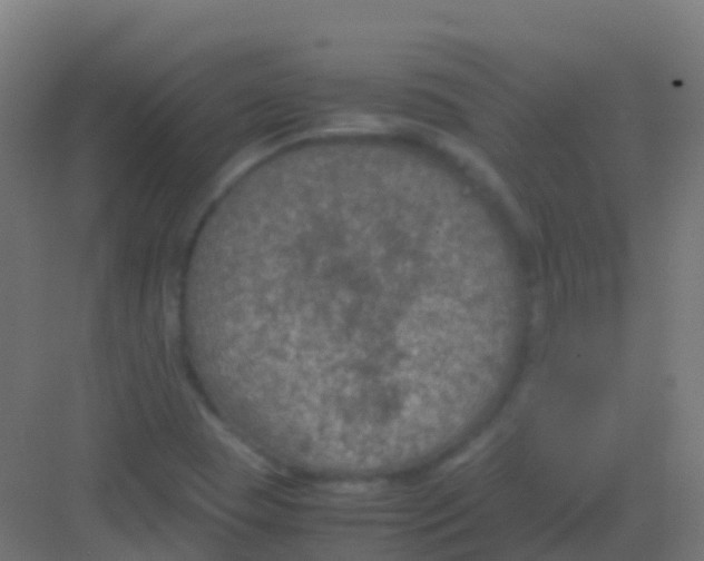 X0000081311409200702082058