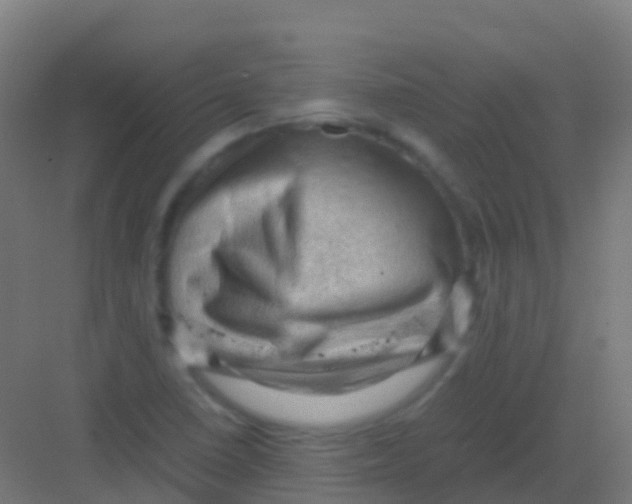 X0000081311410200702082058