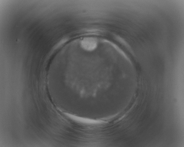 X0000081311411200702082058