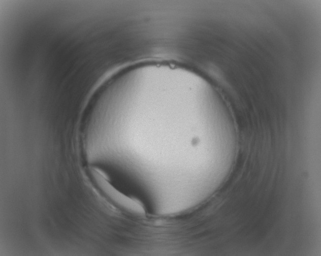 X0000081311412200702082058