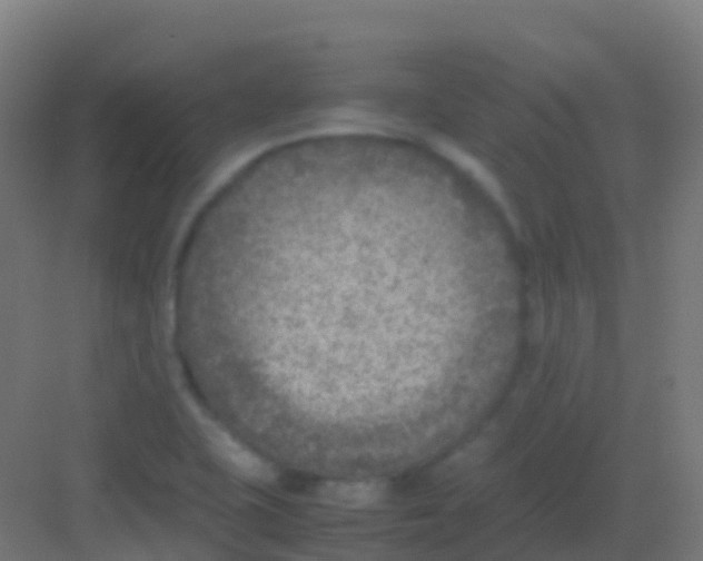 X0000081311415200702082058