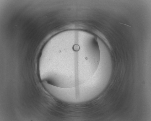 X0000081311419200702082058