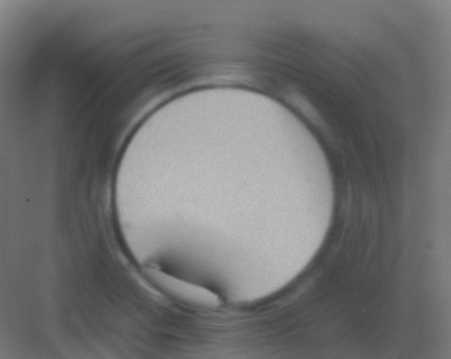 X0000081311420200702082058