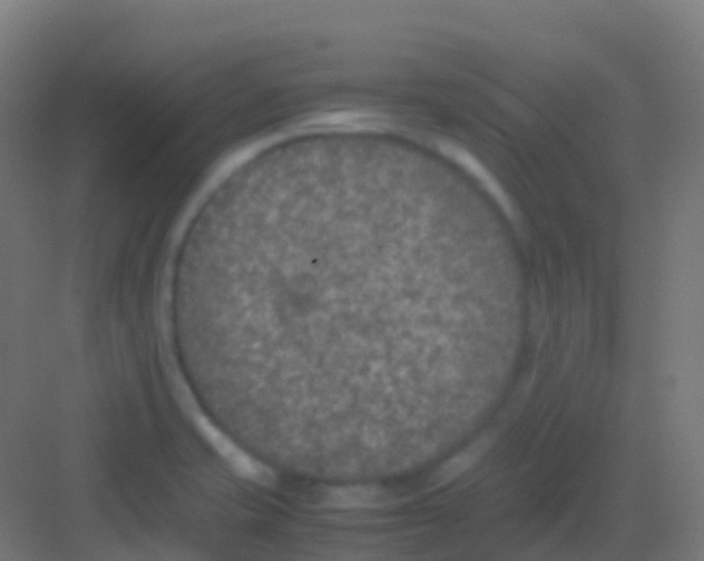 X0000081311421200702082058