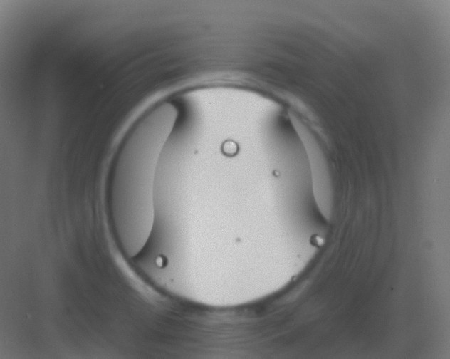 X0000081311422200702082058