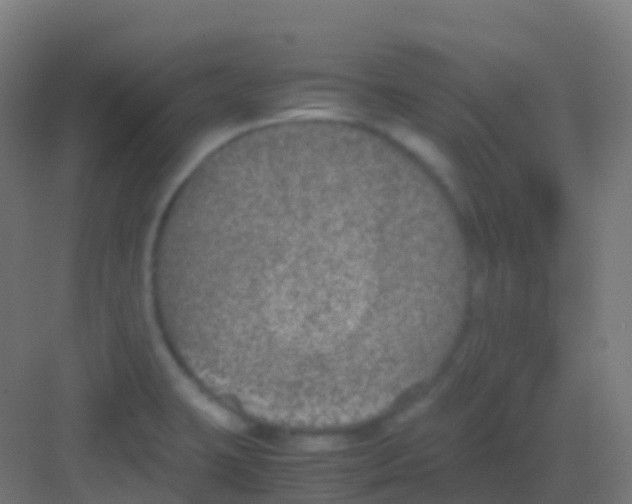 X0000081311423200702082058