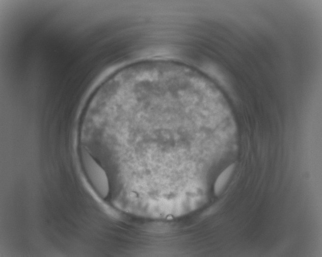 X0000081311424200702082058