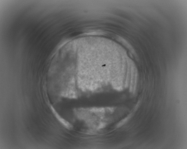 X0000081311425200702082058