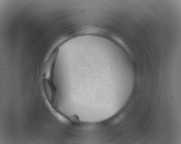 X0000081311426200702082058