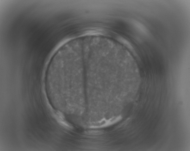 X0000081311427200702082058